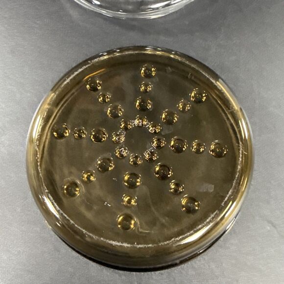 Corning USA Amber Glass Plant Helper Terrarium 8.5” PH-9-S And PH-9-D Full Set - Picture 4 of 4